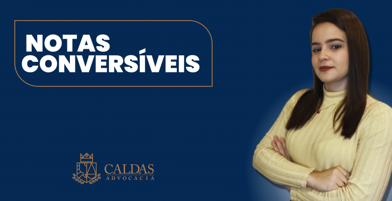 Você sabe o que são as Notas Conversíveis (Conversible Notes)?